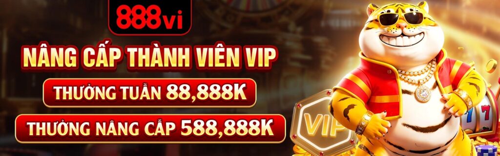 888vi.wiki