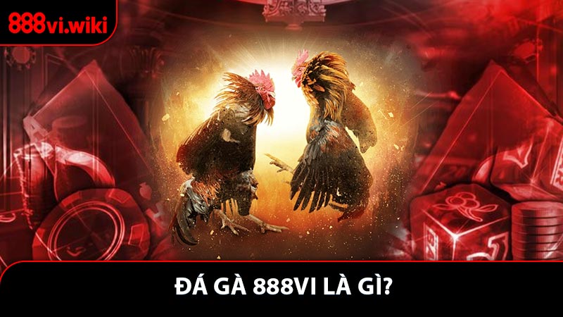 Đá gà 888VI là gì?